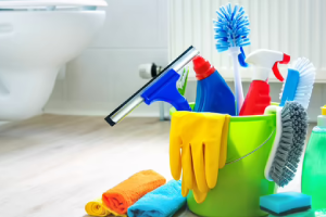 Messie Reinigung Ibbenbüren